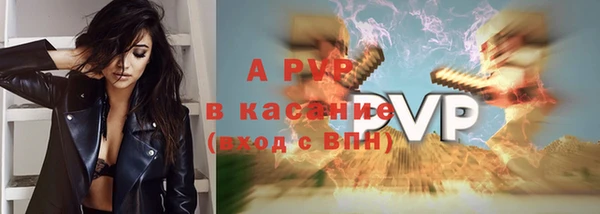 стаф Баксан