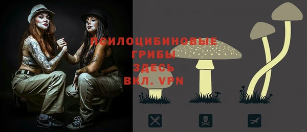 стаф Баксан
