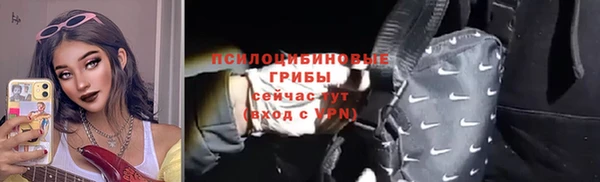 apvp Аркадак